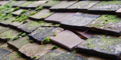 Oakthorpe roof repair costs
